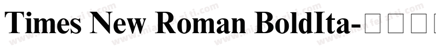 Times New Roman BoldIta字体转换